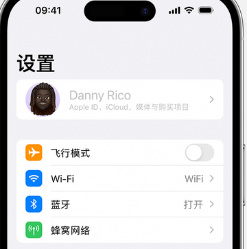 瓦房店appleID维修服务iPhone设置中Apple ID显示为灰色无法使用