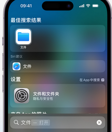 瓦房店apple维修中心分享iPhone文件应用中存储和找到下载文件 