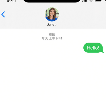 瓦房店apple维修iPhone上无法正常发送iMessage信息