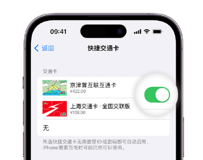 瓦房店apple维修点分享iPhone上更换Apple Pay快捷交通卡手绘卡面 