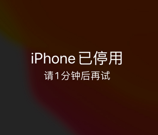 瓦房店苹果手机维修分享:iPhone 显示“不可用”或“已停用”怎么办？还能保留数据吗？ 