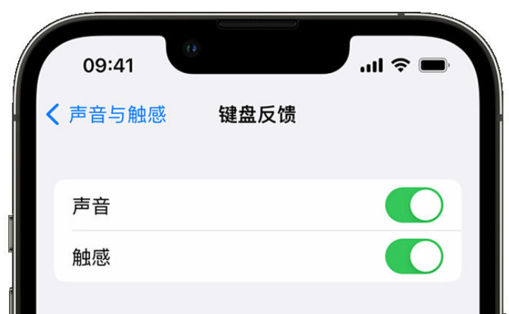 瓦房店苹果手机维修分享iPhone 14触感键盘使用方法 