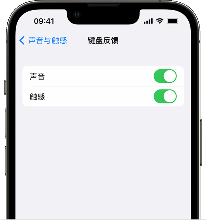 瓦房店苹果14维修店分享如何在 iPhone 14 机型中使用触感键盘 