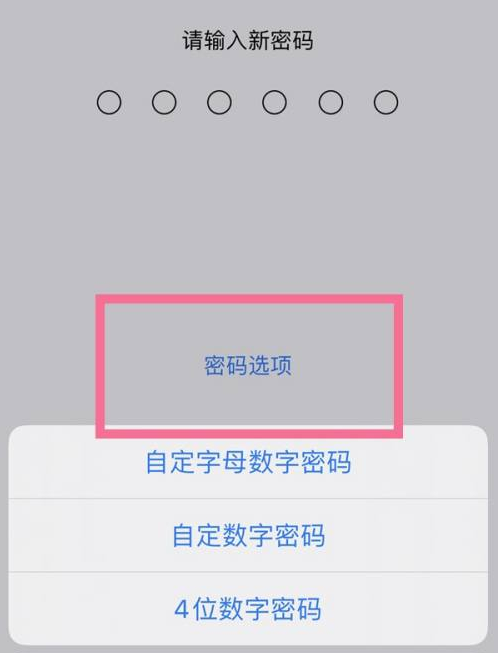 瓦房店苹果14维修分享iPhone 14plus设置密码的方法 