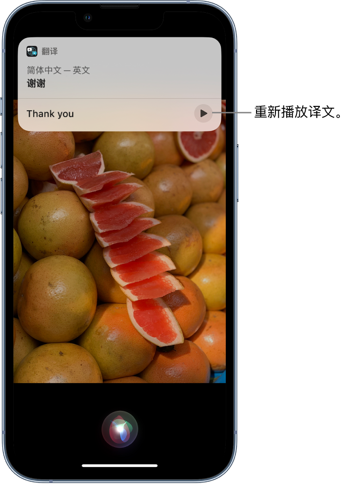 瓦房店苹果14维修分享 iPhone 14 机型中使用 Siri：了解 Siri 能帮你做什么 