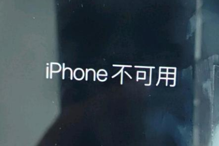 瓦房店苹果服务网点分享锁屏界面显示“iPhone 不可用”如何解决 