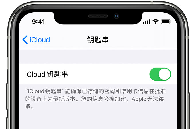 瓦房店苹果手机维修分享在 iPhone 上开启 iCloud 钥匙串之后会储存哪些信息 