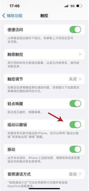 瓦房店苹果手机维修分享iPhone手机如何设置摇一摇删除文字 